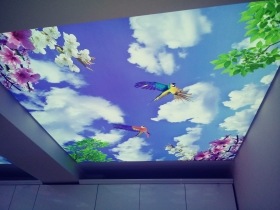 K���k�ekmece Gergi Tavan Modelleri