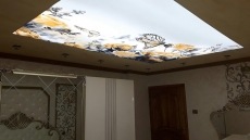 Sar� laleler ve kelebekler gergi tavan