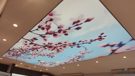 �stanbul�da Gergi Tavan Firmas� Se�erken Nelere Dikkat Edilmeli?